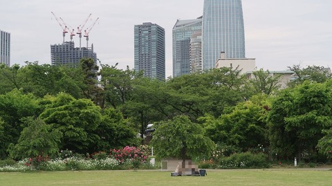 20220508175201_IMG_4200