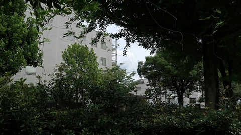 20220812140349_IMG_5692