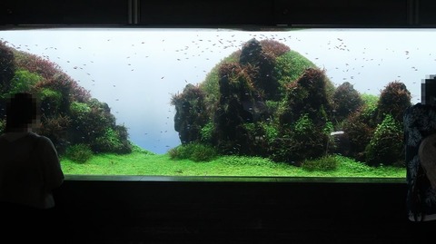 20220730181609_IMG_5304