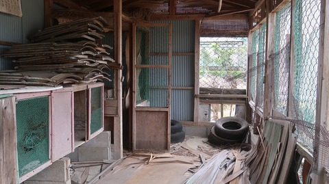 20220507123143_IMG_4148