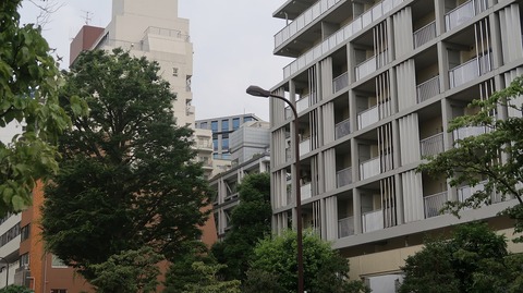 20230610175153_IMG_8523