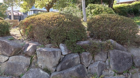 20190413154403_IMG_1916