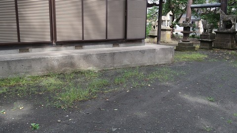 20200920124312_IMG_8001