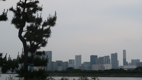 20230610155016_IMG_8471