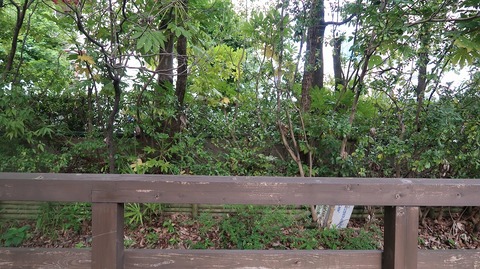 20200810161840_IMG_7277