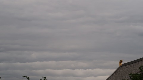 20220508180956_IMG_4228