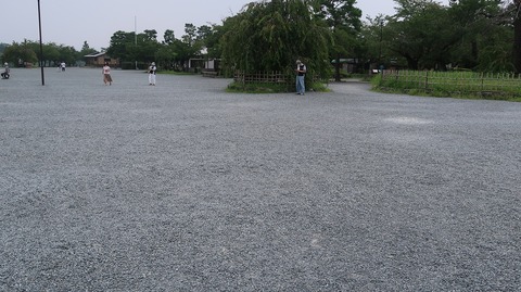 20200808112156_IMG_7101