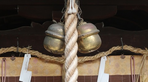 20220813090309_IMG_5768