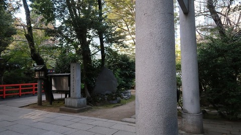 20221030153152_IMG_6825