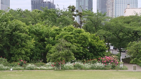 20220508180243_IMG_4215