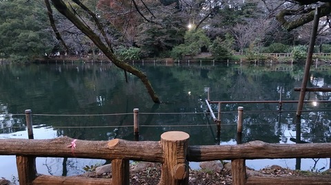 20191102170622_IMG_4750