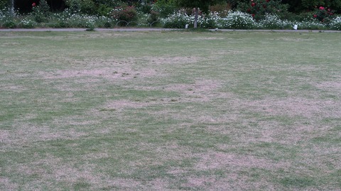 20220508180116_IMG_4212