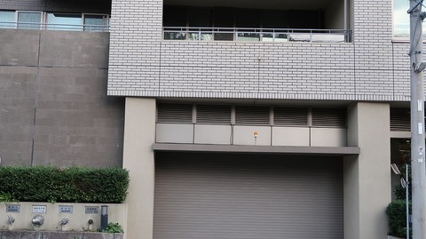 20190223170528_IMG_1110