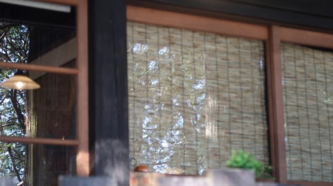 20211219111836_IMG_2496