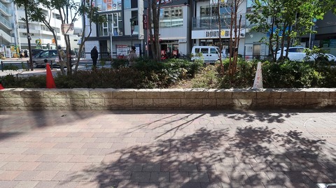 20210223130847_IMG_0654