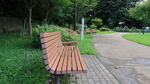 20190727150718_IMG_3090