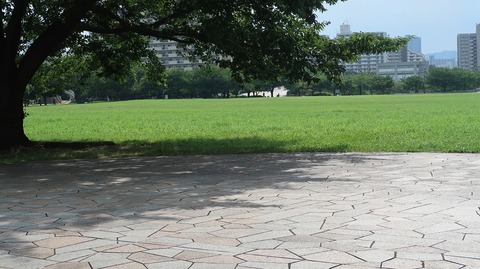 20220807154048_IMG_5438