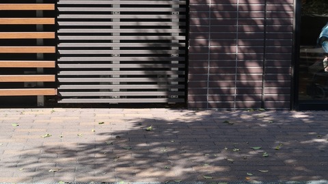 20210223131556_IMG_0657