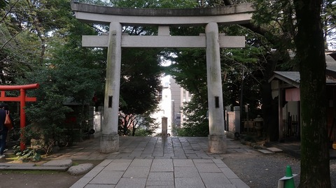 20221030150736_IMG_6806