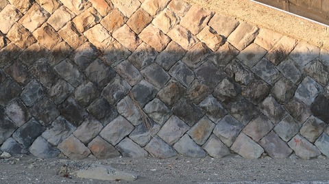 20200209163351_IMG_5731