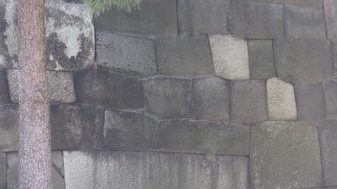 20220731151034_IMG_5368