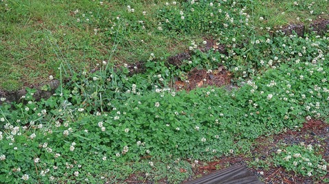 20220501114203_IMG_3736