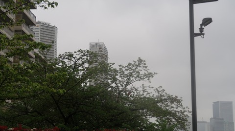 20230415164824_IMG_7945