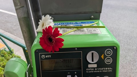 PXL_20251108_033342781