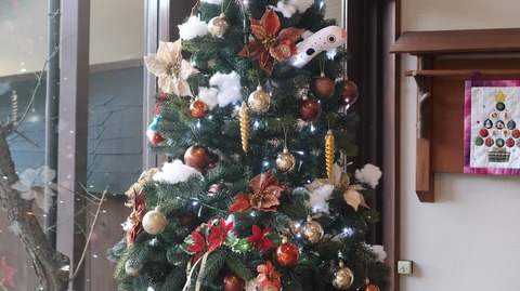 20211220080625_IMG_2604