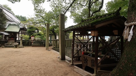 20220923152430_IMG_6464