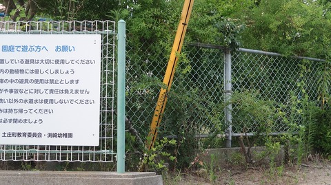 20220701193256_IMG_4806