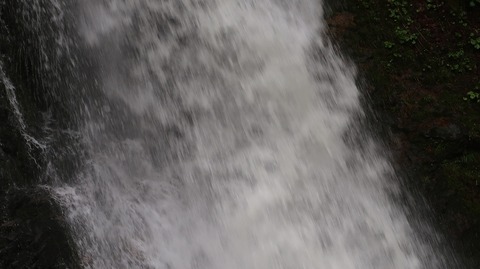 20230506150118_IMG_8194