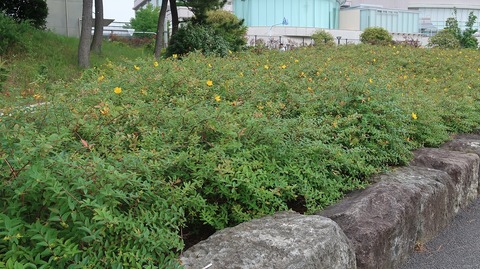 20230610155303_IMG_8475