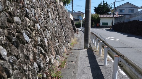 20231007114902_IMG_9623