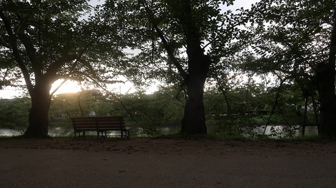 20200919170037_IMG_7888