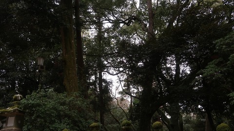 20210103154545_IMG_9866