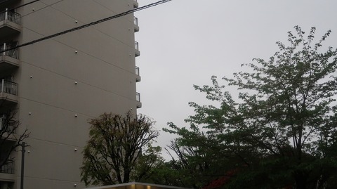 20230415170809_IMG_7964