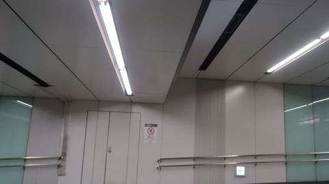 20231029085112_IMG_0188