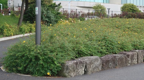 20230610155631_IMG_8481