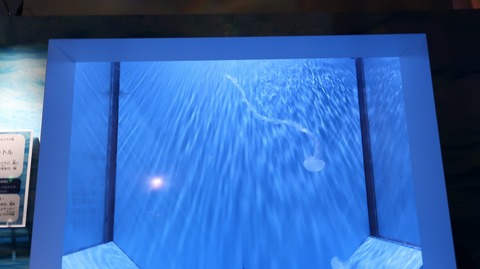 20211205142945_IMG_2384