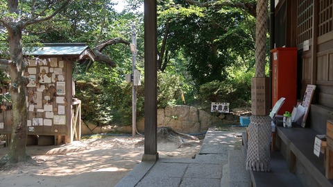 20220701143039_IMG_4751