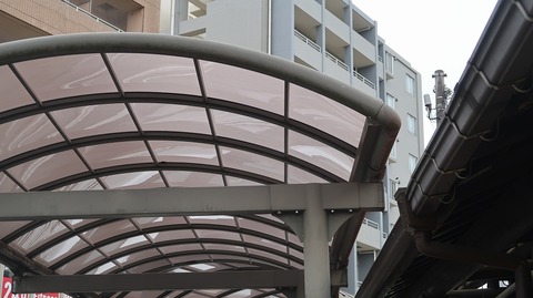 20220515165210_IMG_4278