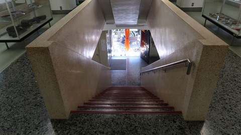 20190916085608_IMG_3828