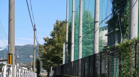 20231007105722_IMG_9589