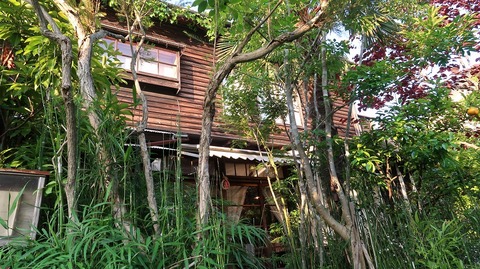 20190525174256_IMG_2487