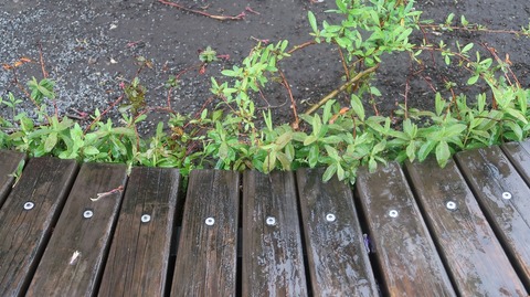 20230415164115_IMG_7934