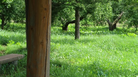 20200920112242_IMG_7949