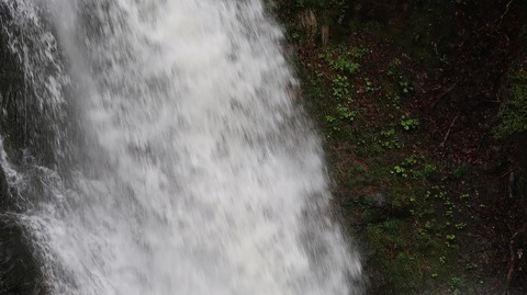 20230506144750_IMG_8190