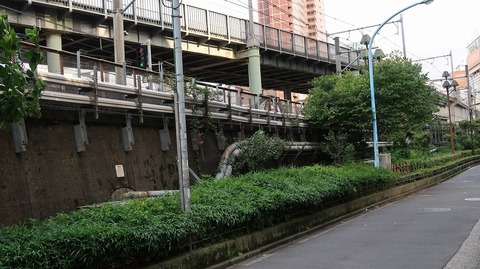 20190727172103_IMG_3123