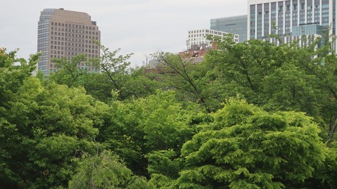 20220508175644_IMG_4206